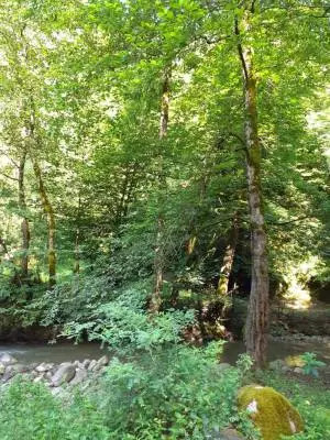hirkani9