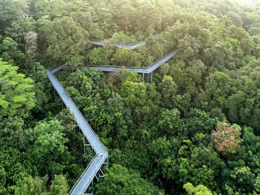طبیعت-سنگاپور