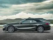 BMW-8-SeriesConvertible-2019-1024-10