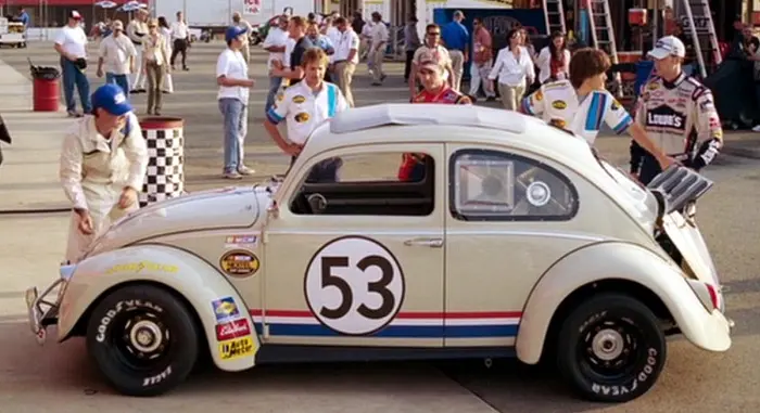 beetle2.JPG