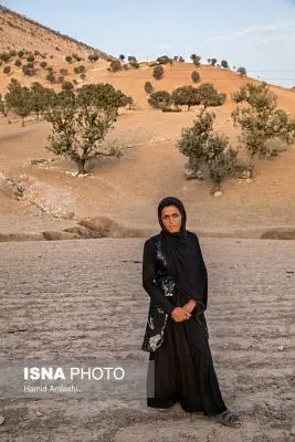 57736456hamid-amlashi-1-2