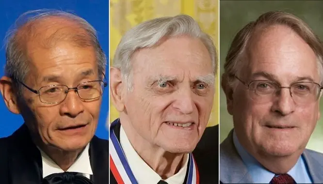 NOBEL2.jpg
