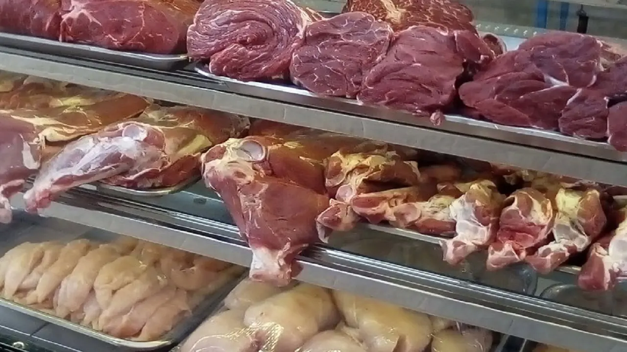 گوشت-مرغ