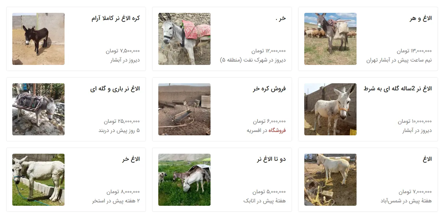 قیمت-الاغ