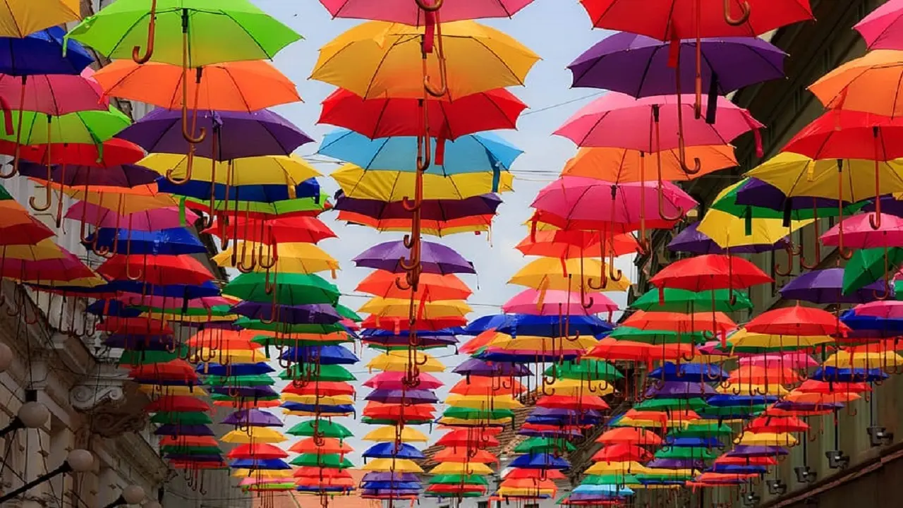 چتر-خرید