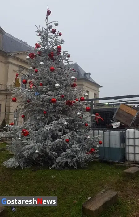 christmas-tree2.jpg