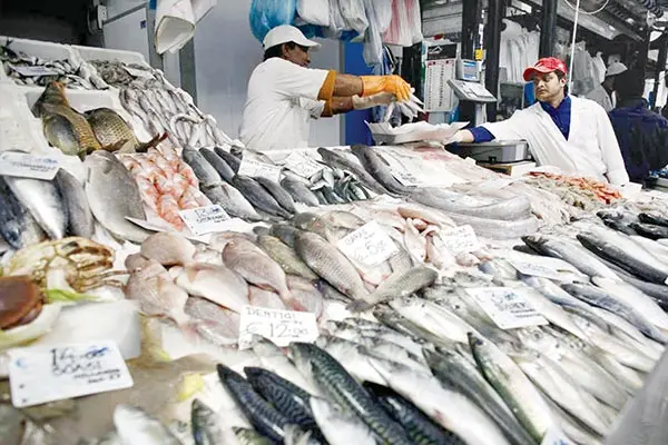 mahi-shilat.jpg