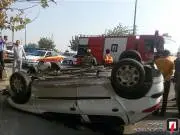 50937881