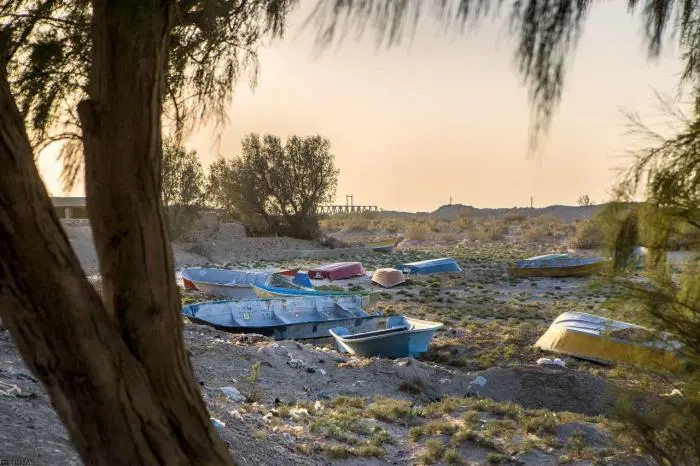 hamoon8.jpg
