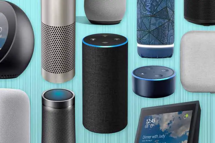 amazon-1.jpg