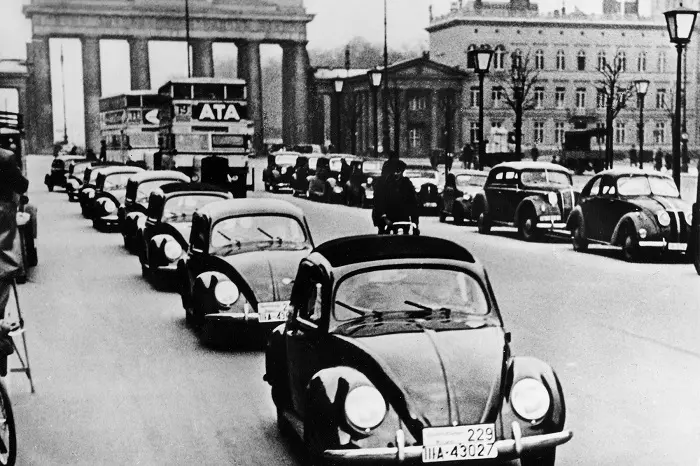 beetle1.jpg