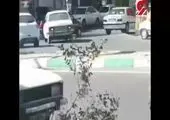 ویدیویی از مصدومان حادثه امروز سرقت از طلافروشی در تبریز/ فیلم
