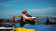 تصاویر/ صید پره قدیمی‌ترین روش صید ماهیان خزری
