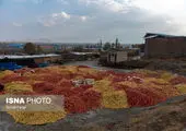 ماجرای زمین خواری ۵۲ هزار میلیارد تومانی در ایران