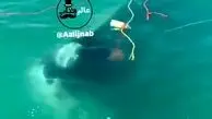 فیلم پربازدید از شهروندی که به جای ماهی، پرادو از آب گرفت