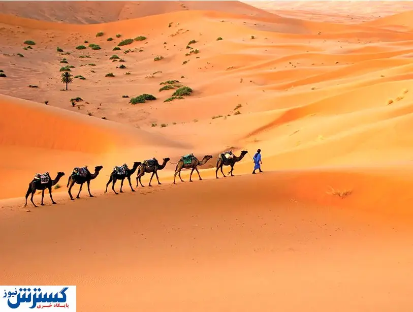 مدیر بیابان لوت آب پاکی را  بر روی دست معدن ریخت