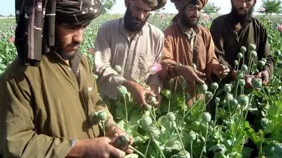اخراج افغان‌ها برای ایران شر شد !