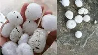 بارش تگرگ اندازه تخم‌مرغ در کرمانشاه / خسارت شدید به مزارع و اموال مردم