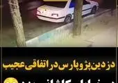 بلعیده شدن صیاد توسط نهنگ گوژپشت! + فیلم