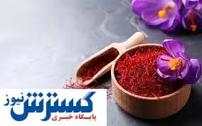 ​قیمت ۱۴۰۳ طلای سرخ اعلام شد | هر مثقال زعفران ۵۰۰ هزار تومان