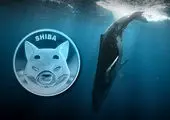 حمله نهنگ‌ها به شیبا اینو!