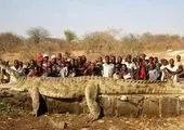تمساح ۸ متری قاتل پسربچه اندونزیایی