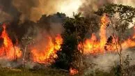 سریال آتش‌سوزی در پایتخت؛ یک پارک دیگر هم آتش گرفت