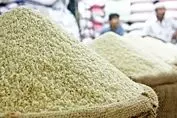 سونامی در بازار برنج ؛ قیمت ها تغییر کرد