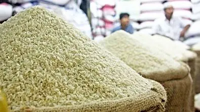 سونامی در بازار برنج ؛ قیمت ها تغییر کرد