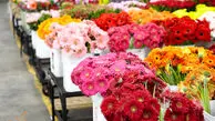 قیمت انواع گل برای شب یلدا + جدول