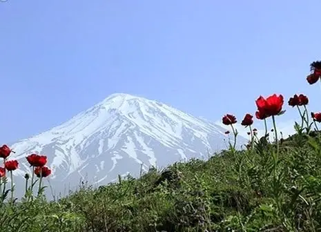 آخرین جزییات از حادثه سقوط بهمن در شمال تهران