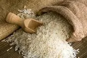 انفجار قیمت برنج /  آل نینو وضعیت را بدتر می کند 