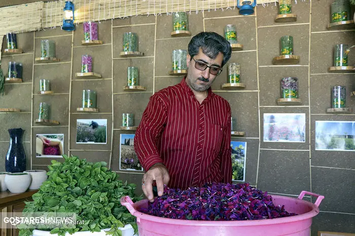 "داروهای گیاهی" در درمان کرونا بسیار موثرتر از برخی داروهای شیمیایی 