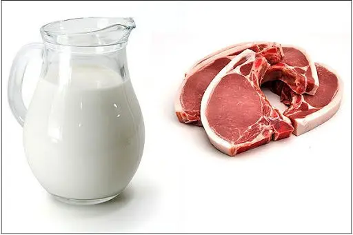 زنگ خطر تولید شیر و گوشت به صدا درآمد