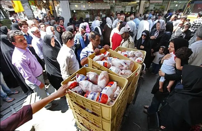 زنگ خطر افزایش دوباره قیمت مرغ در بازار