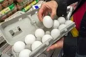 فاجعه در کمین امنیت غذایی کشور | تخم‌مرغ ۲۵ هزار تومانی و مرگ تولید !