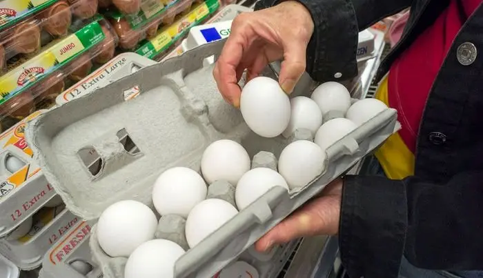 قیمت روز تخم مرغ در بازار (۹۹/۱۱/۰۷) + جدول