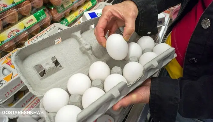قیمت روز تخم مرغ در بازار (۹۹/۰۵/۲۶) + جدول