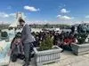شوک خبری؛ دولت موظف به پرداخت دیه جنایتکاران خارجی شد!