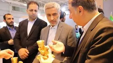 جهانی شدن همدان مسیری بسوی رونق اقتصادی غرب ایران