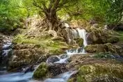 چگونه با کمترین هزینه در ایران سفر کنیم؟ 