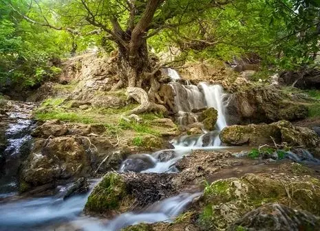 چمران : شهردار تهران برزیل چه‌کار می‌کند؟