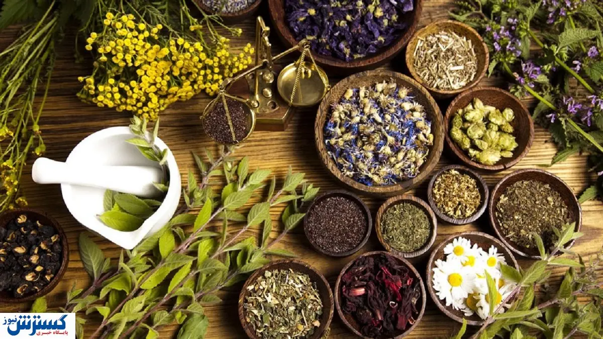 چرا فراوری داروهای گیاهی در کشور نداریم؟