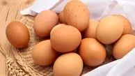 صادرات تخم مرغ امکان دارد اما دولت نمی خواهد