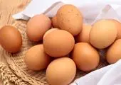 قیمت روز تخم‌ مرغ در بازار (۹۹/۰۹/۰۳) + جدول