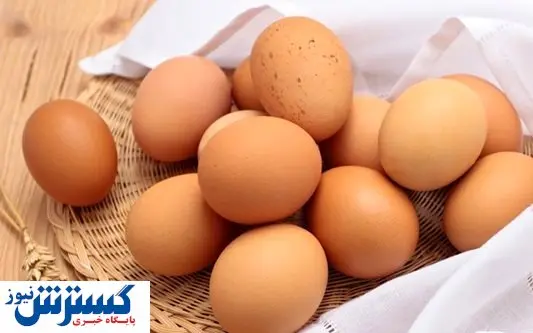 قیمت تخم مرغ در بازار امروز (۹۹/۰۷/۱۵) + جدول