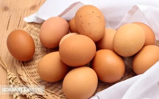 قیمت روز تخم مرغ در بازار (۹۹/۰۷/۳۰) + جدول