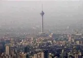 تهران چه تعداد خانه بدون سکنه دارد؟ / نابودی ۲۵۰۰هکتار از باغات