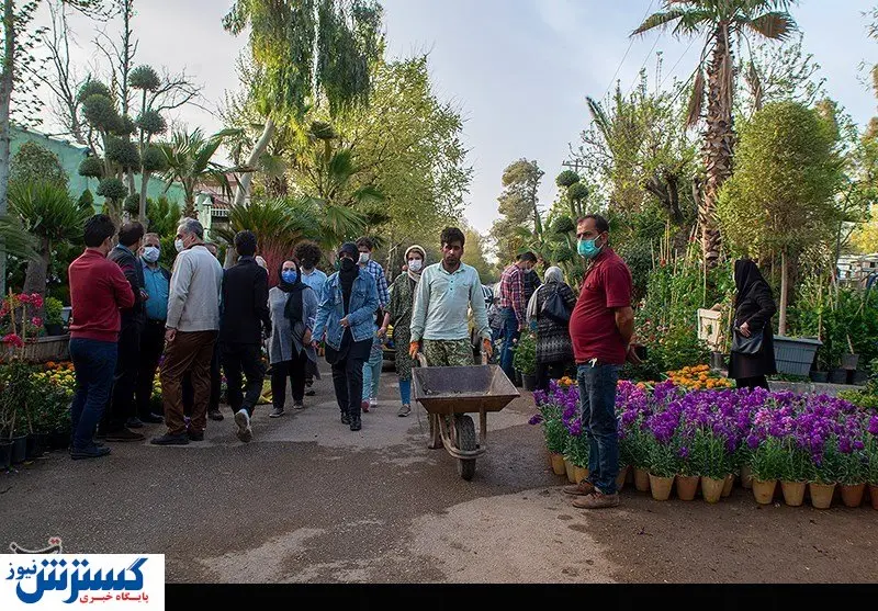 بازار گران فروشی گل و گیاه در روزهای آخر سال + تصاویر