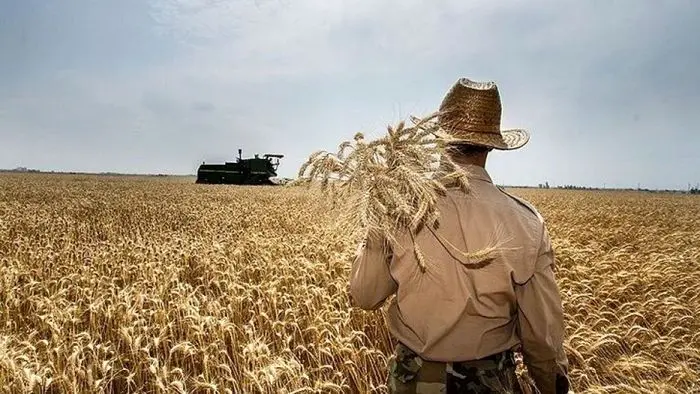 قیمت پیشنهادی کشاورزان برای گندم امسال